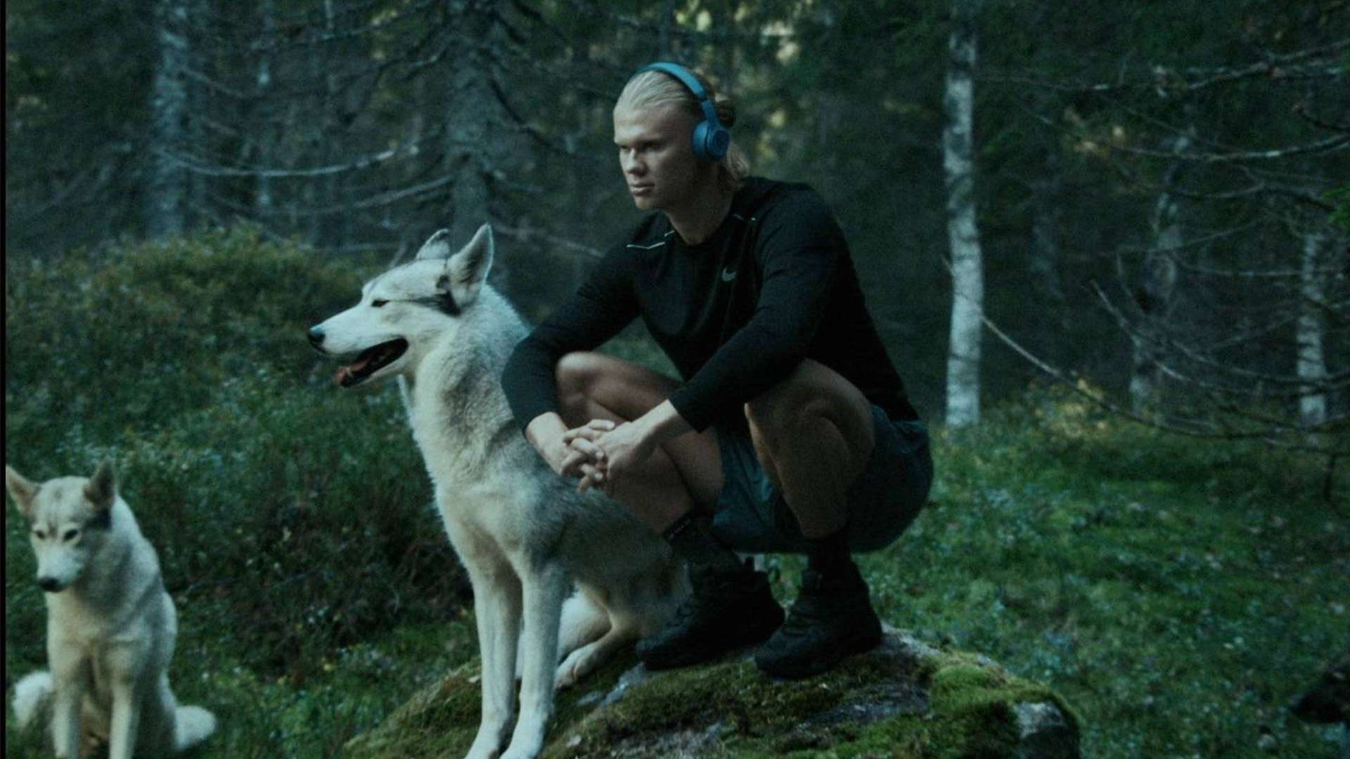 度则决定了 度则决定了